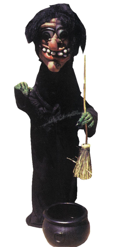 Witch Costume As Pictured