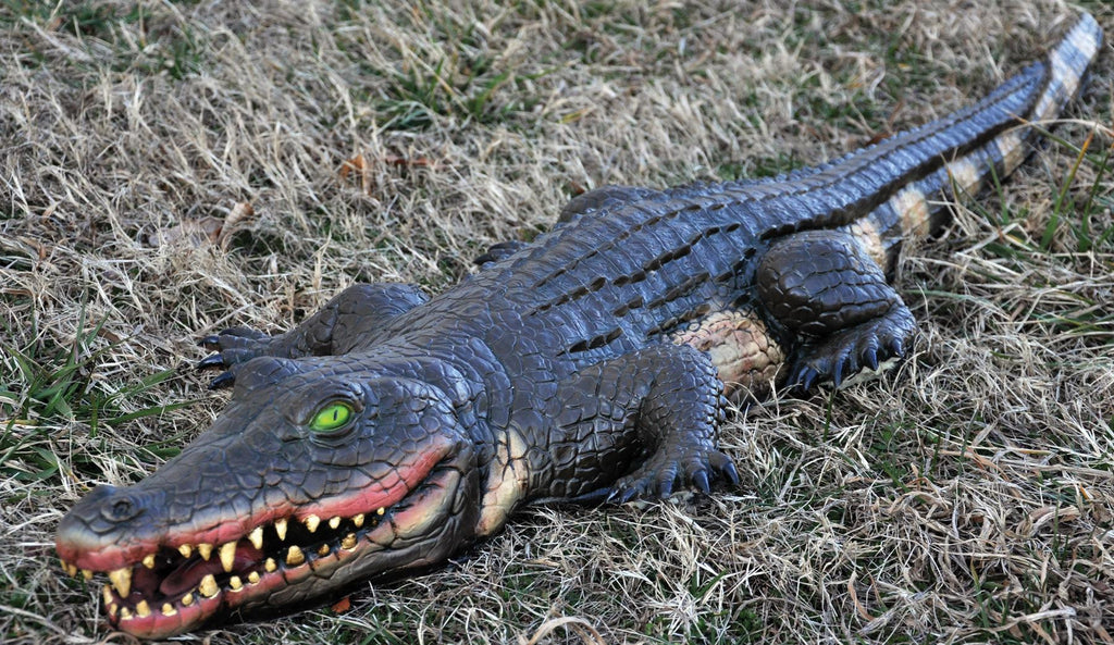 Alligator Swamp Foam Fill 4ft