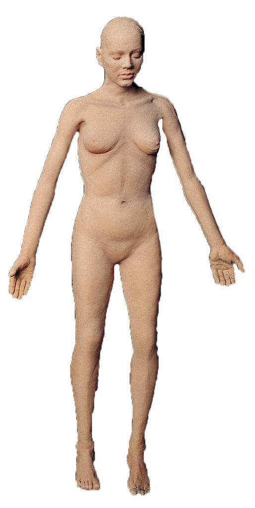Flex Body Female
