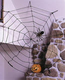 Spider Web 9ft Rope Blk