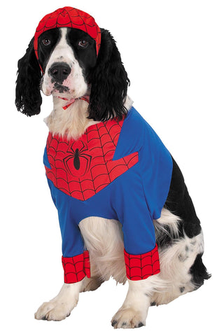 Spiderman Dog Medium