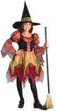 Child Fairy Witch Size Large