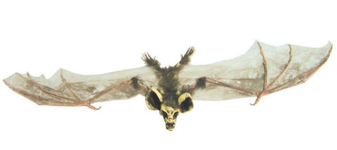 Bat With Skull Head Sml Brown