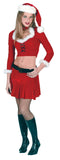 Santa Ms Sexy Medium Large