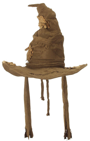 Harry Potter Sorting Brown Hat