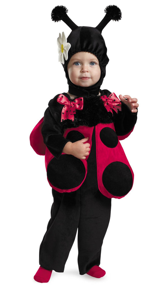 Huggable Ladybug 12-18 Mo