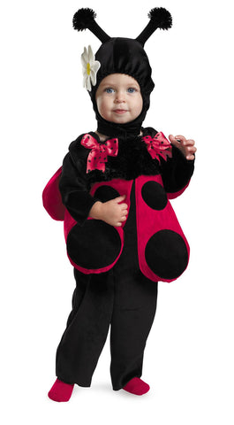 Huggable Ladybug 12-18 Mo