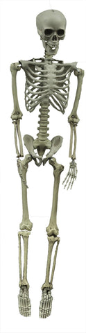 Skeleton Hanging 60in