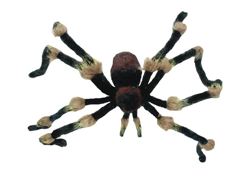 Spider Hairy 62in