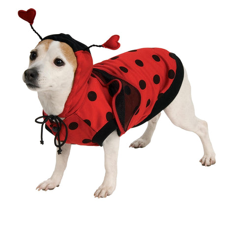 Pet Ladybug Costume Large