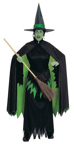 Wicked Witch Adult