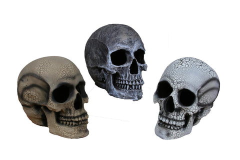 Realistic Skull Small Yellow