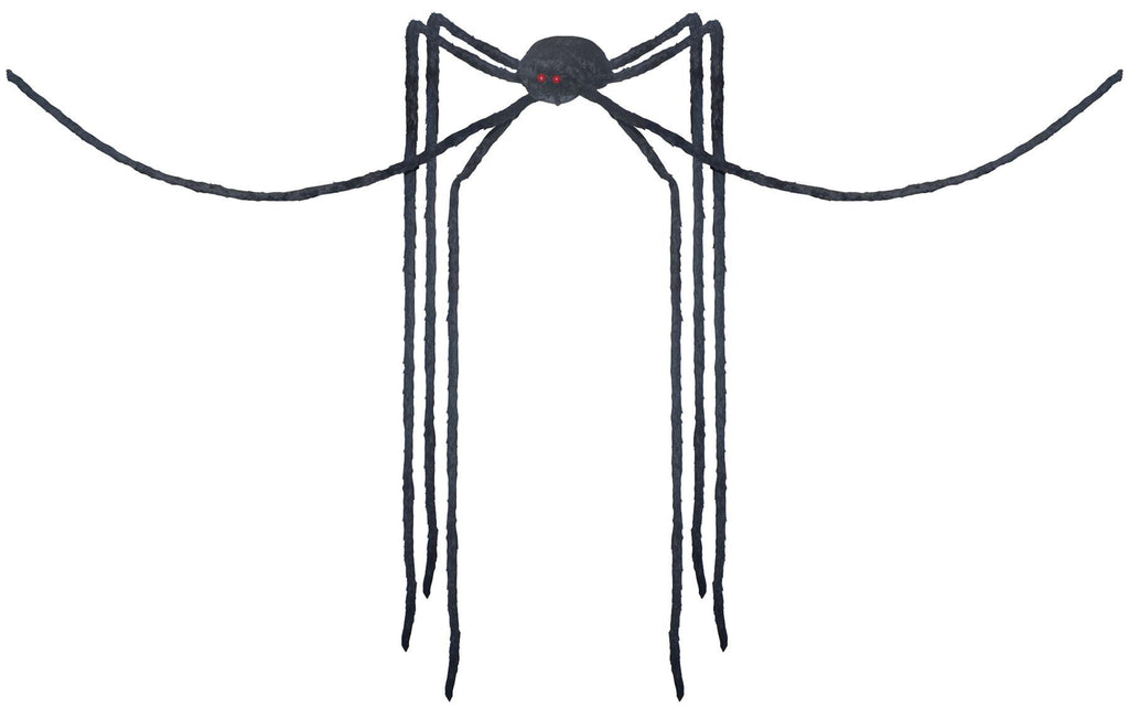 Spider Black Long Legs