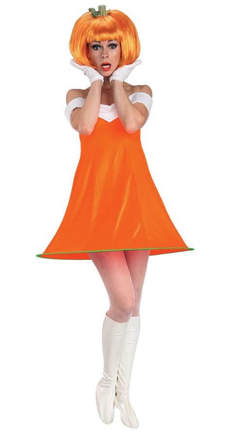 Pumpkin Spice Adult Costume