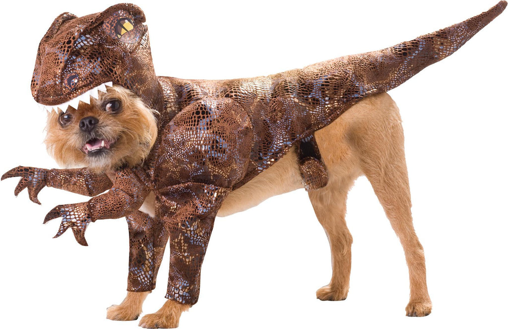 Pet Raptor Animal Planet Sm