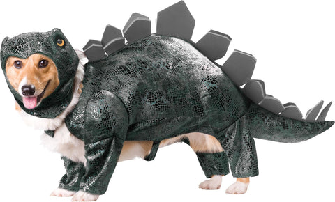 Pet Stegosaurus Animal Planet