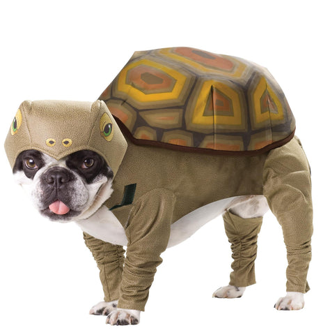 Pet Tortoise Animal Planet Lar