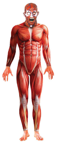 Anatomy Man Large Adult 42-44