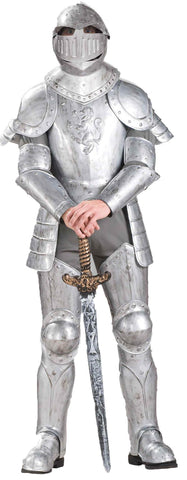 Knight In Shining Armour Adult