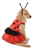 Pet Costume Lovely Ladybug Md