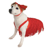 Pet Costume Flapper Large