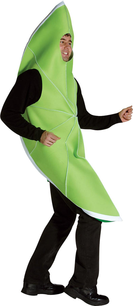 Lime Costume Adult