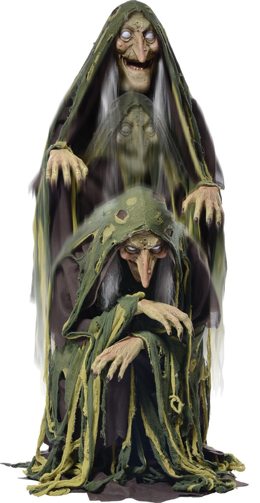 Swamp Hag Rising Animated