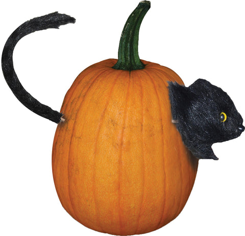 Cat Pumpkin Push In