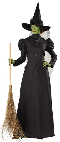 Witch Classic Deluxe Adult Lg