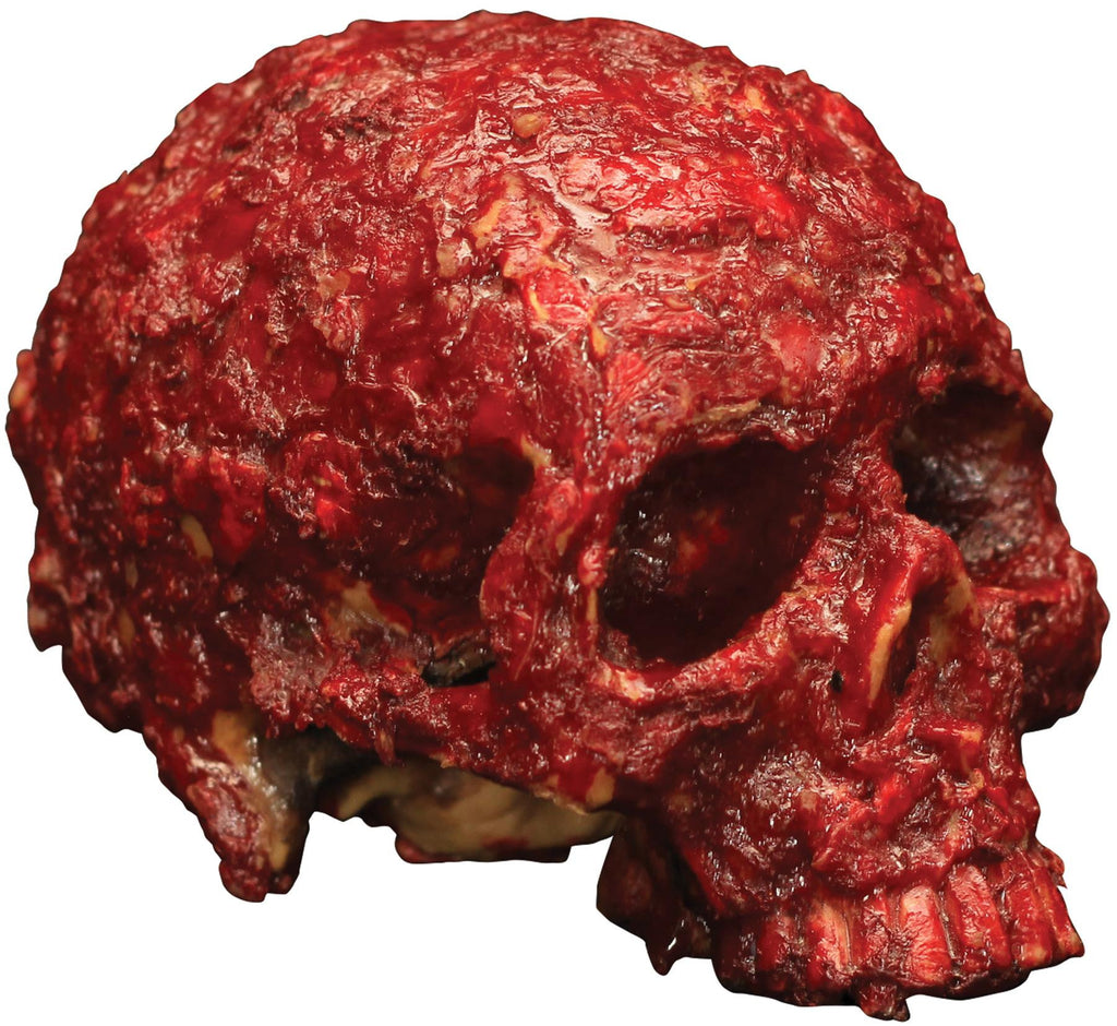 Blood Scab Resin Skull Prop