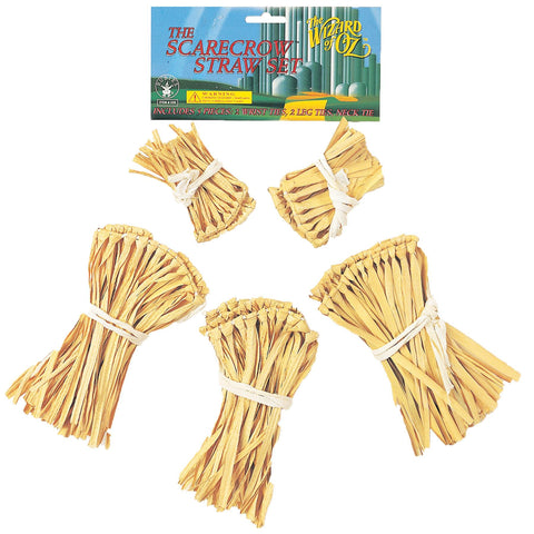 Wizard Of Oz Scarecrow Straw