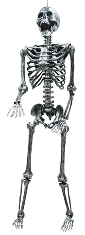 Skeleton Steel Gray Lghtup 5ft