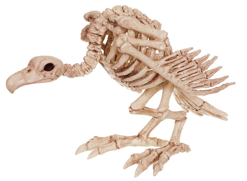 Skeleton Vulture