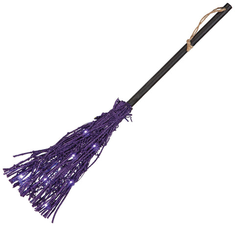 Broom Purple Twig
